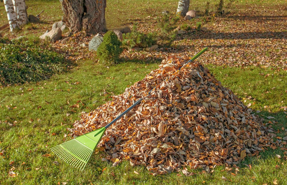 Garten aufräumen und Grünschnitt zusammenrechen – Tal Schnitt Wuppertal